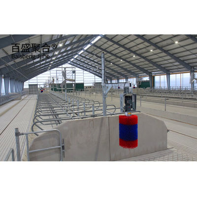 Hot Dip Galvanized Steel Structure Ngôi nhà gia súc cho nhà chăn nuôi Prefab khung kim loại