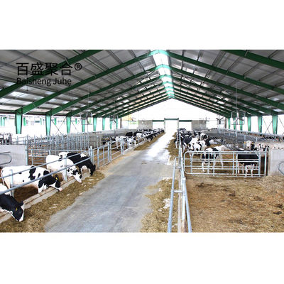 Modern Design Steel Structure Cow Cattle Dairy Milking Farm Shed Building with Steel Beams H Beams (Thiết kế thép hiện đại)