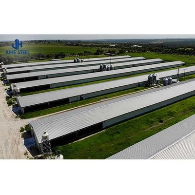 Thiết bị nuôi gia cầm thép tùy chỉnh cho thiết kế và xây dựng nhà gà