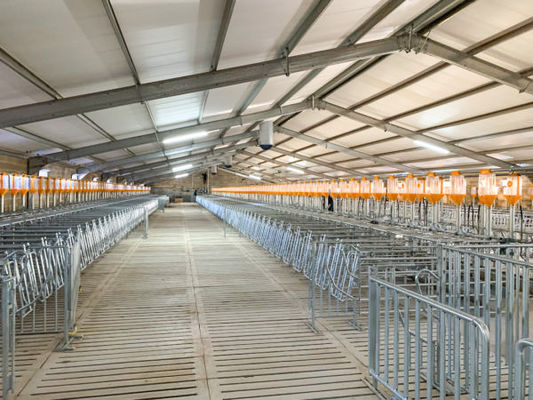 Cánh cửa trượt cửa cuộn cho xây dựng bò bò và lồng lớp trang trại lợn