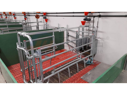 Cánh cửa trượt cửa cuộn cho xây dựng bò bò và lồng lớp trang trại lợn