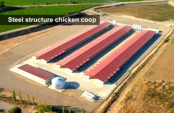 Sản xuất thép Sản xuất gia súc gia súc gia súc được chế tạo sẵn Xây dựng với lồng gà và chuồng kim loại