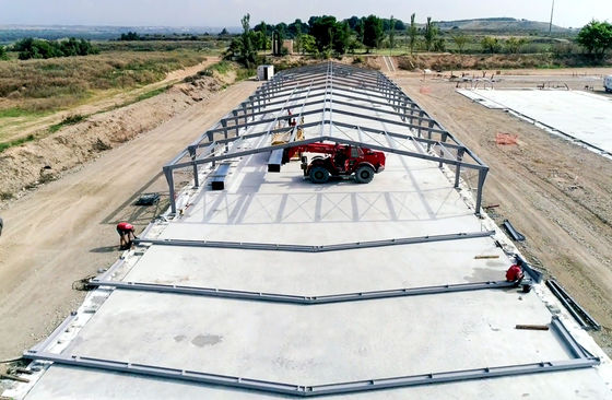 Sản xuất thép Sản xuất gia súc gia súc gia súc được chế tạo sẵn Xây dựng với lồng gà và chuồng kim loại