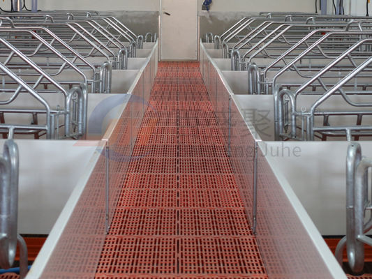Thiết kế trang trại gia cầm với tòa nhà công nghiệp và kênh thép hình C.Z