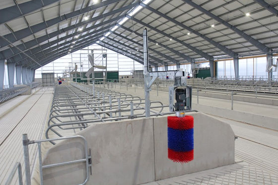 Một tấm thép mái tường tùy chỉnh ngựa xây dựng ổn định tòa nhà bởi Trung Quốc