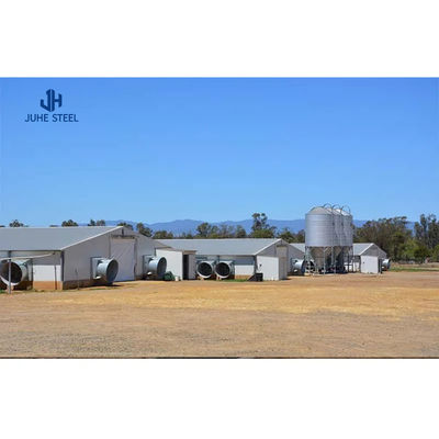 Solid H-shaped Steel Beam Shelter cho gia súc và dê sống