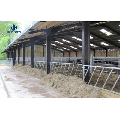 Xây dựng trang trại bò với độ khoan dung ± 1% và thiết kế kinh tế