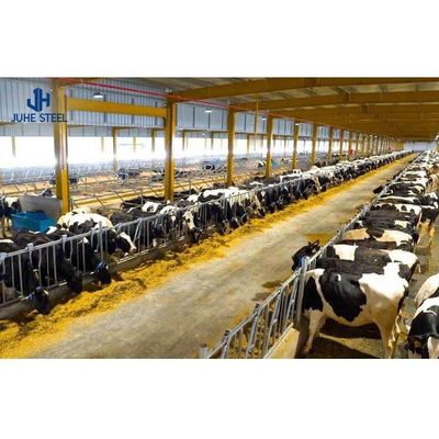 2-10 mét chiều cao Căn nhà trang trại bò Nhà nhà bò thiết kế với đường kính ống 60mm