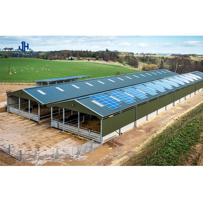 Customized Size Steel Structure Design Livestock Farm Shed for Goat/Cattle Farms Tòa nhà