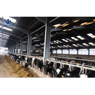 Q235/Q355B Cấu trúc thép Chỗ chăn bò để quản lý chăn nuôi