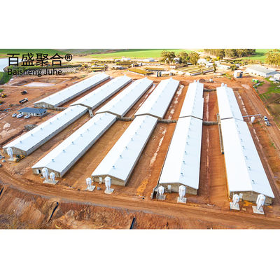 Q345 Q235 Cấu trúc thép nhẹ cho chuồng chăn nuôi dê và xây dựng bò bò