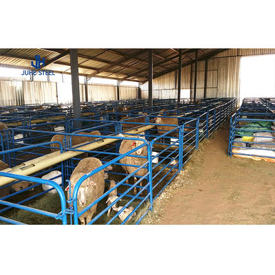 Thép kim loại nhà chứa bò lợn nhà gia cầm Prefab Nhà gia cầm Cấu trúc cửa cuộn