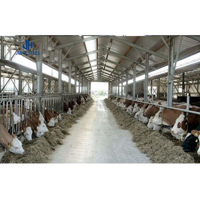 Thép kim loại nhà chứa bò lợn nhà gia cầm Prefab Nhà gia cầm Cấu trúc cửa cuộn