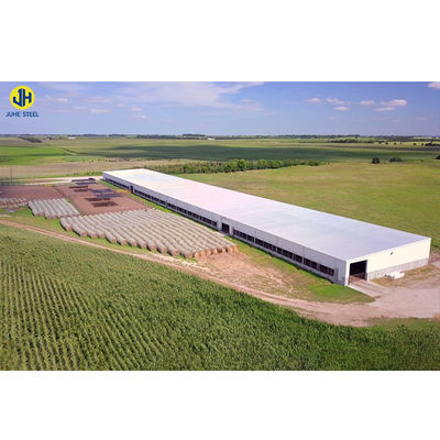 Prefab Thép khung nhà cho trang trại gia cầm Thép nhẹ cấu trúc khung
